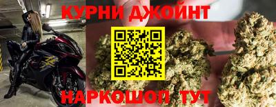 прущие грибы Гусев