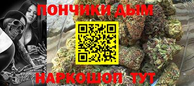 индика Гусиноозёрск