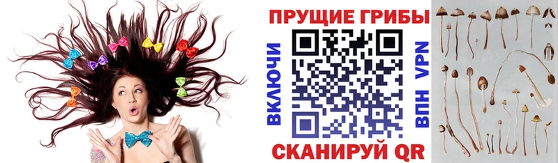МЕГА маркетплейс Красногорск Галлюциногенные грибы мухоморы