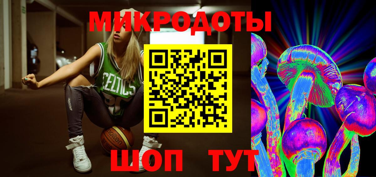 Красногорск  Галлюциногенные грибы Psilocybe  Вход с VPN 